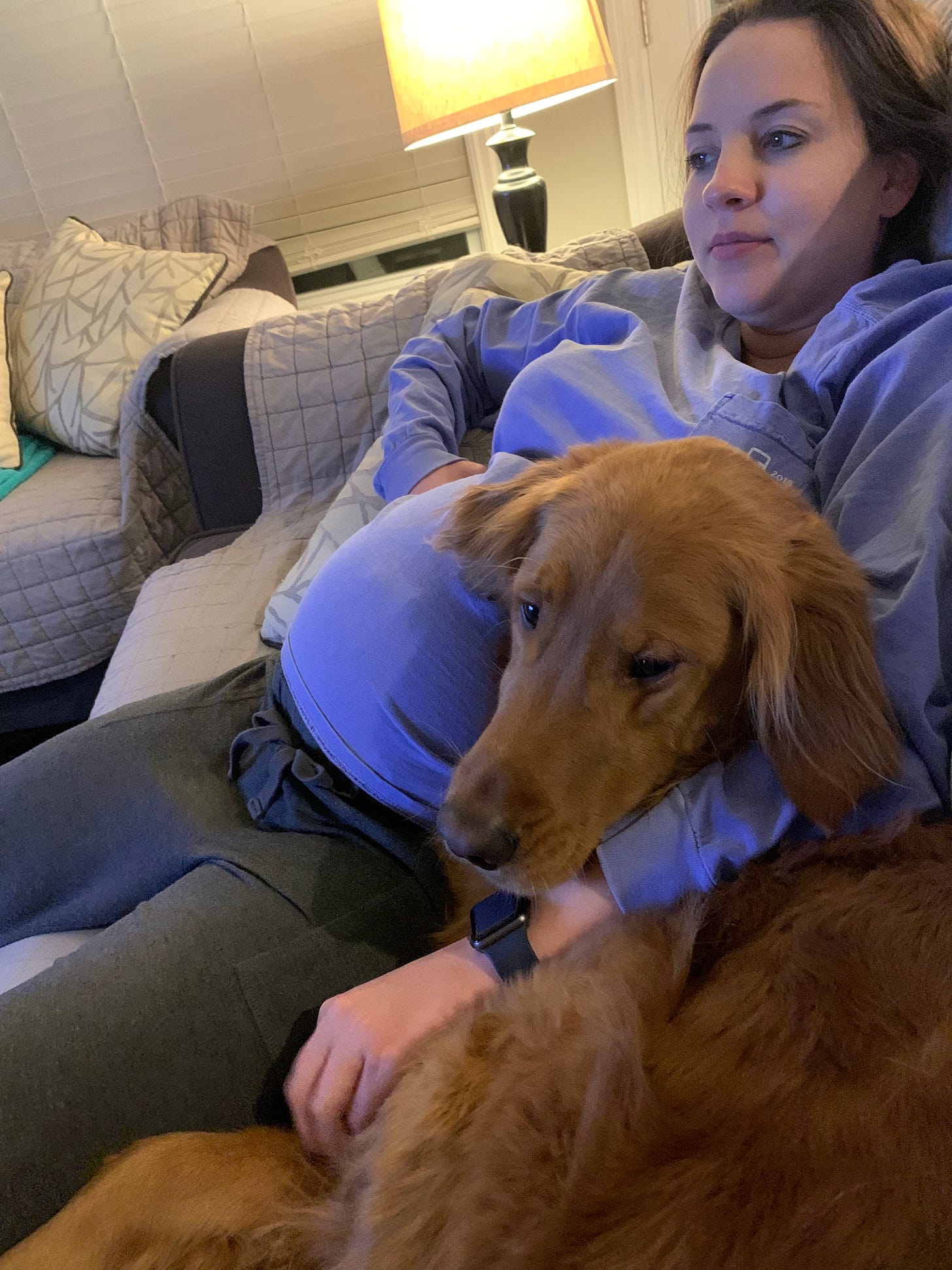 A golden retriever lies by a pregnant woman