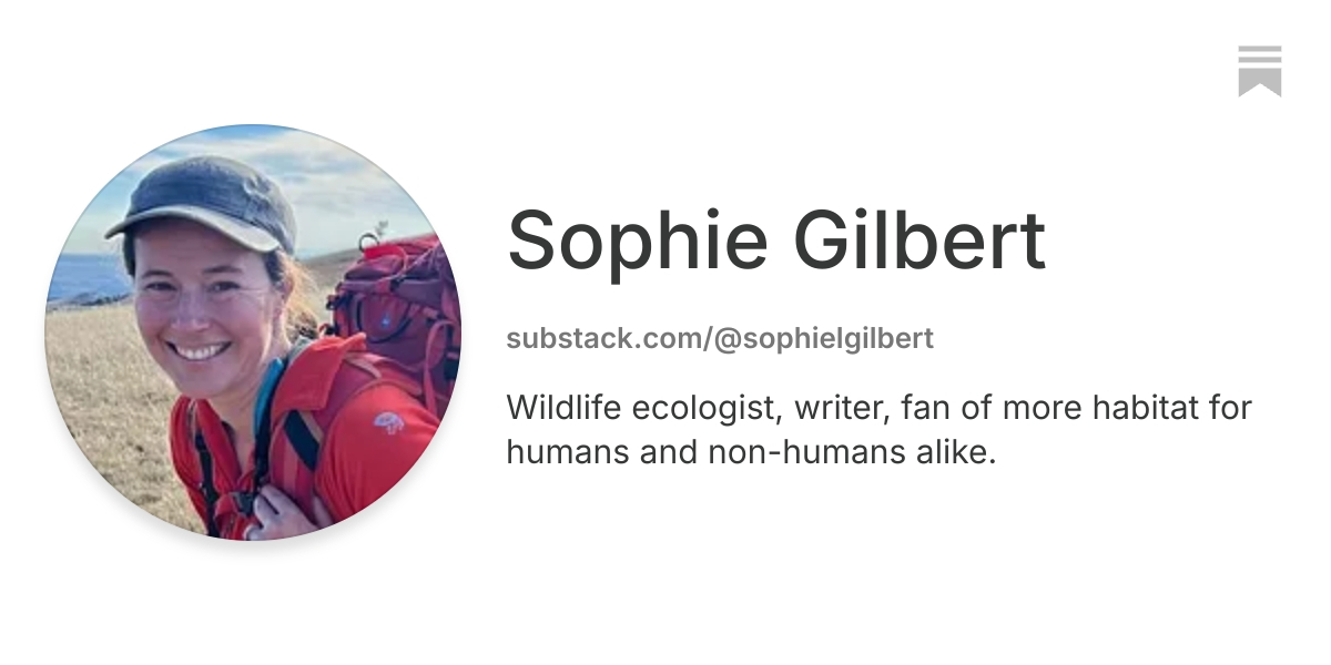 Sophie Gilbert | Substack