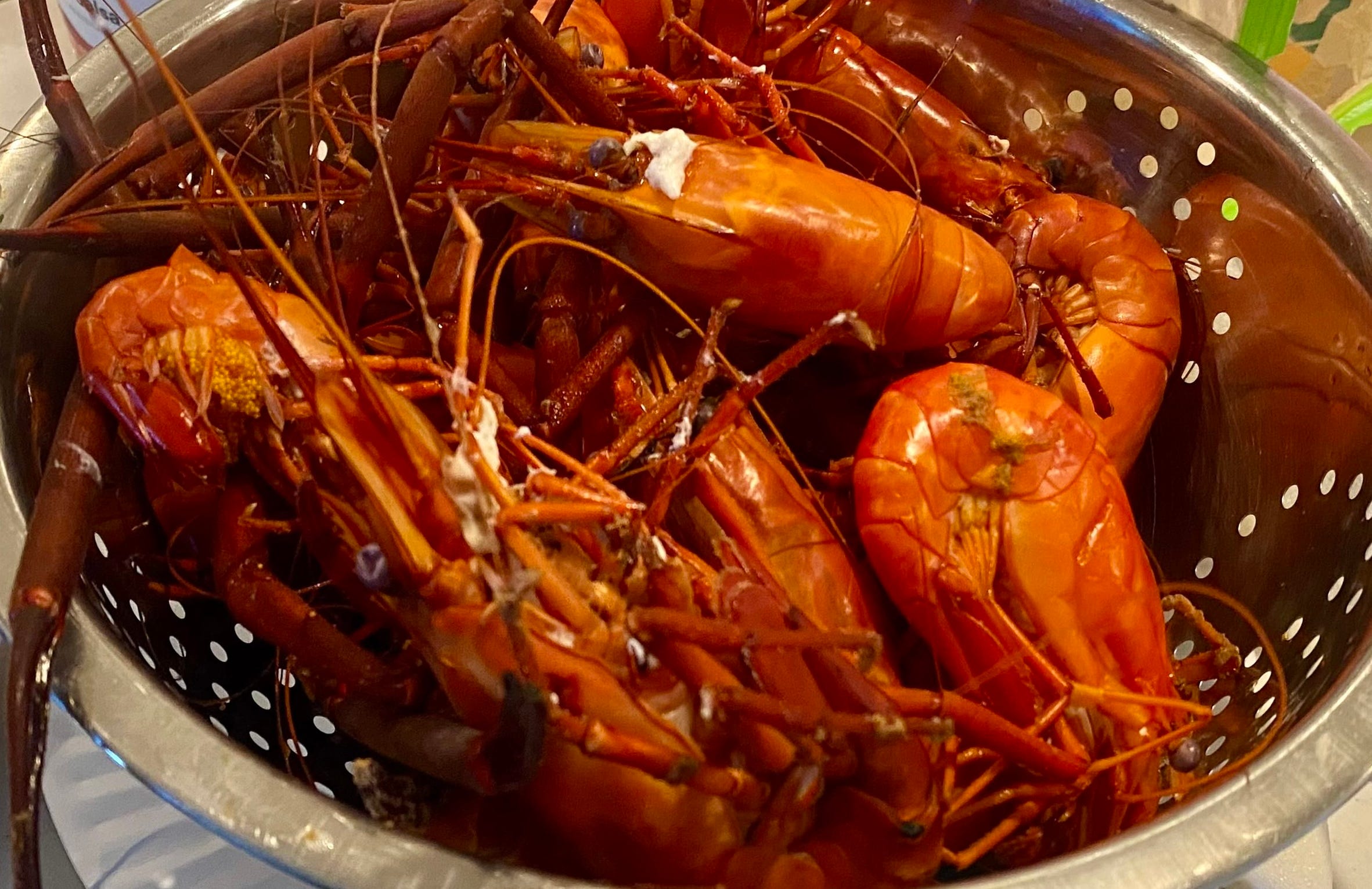 Prawning 🦐 - With Aloha