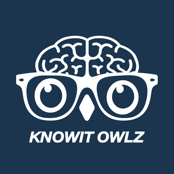 Knowit Owlz logo
