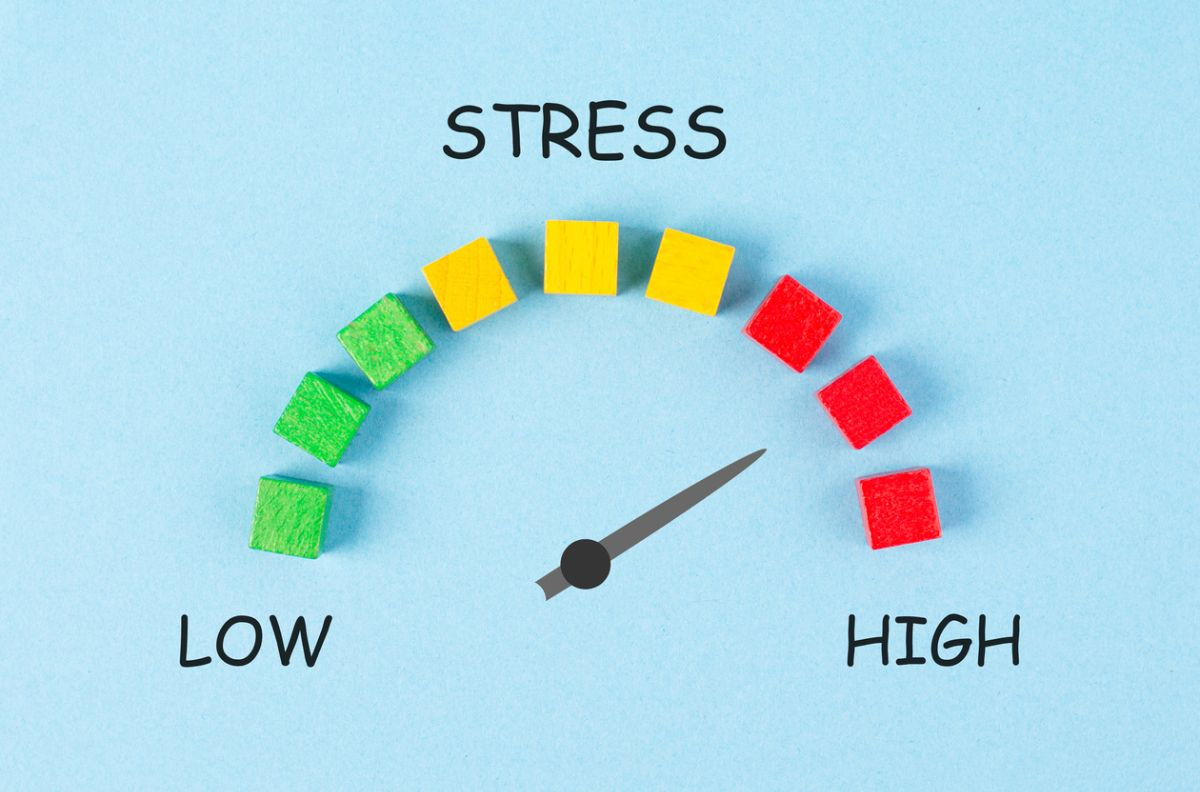 The Impact of Stress on Adult Anxiety & When to Seek Professional Help -  San Antonio Behavioral Healthcare Hospital