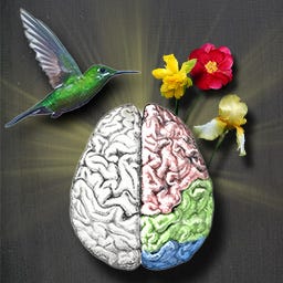 Ambrosia for Thought