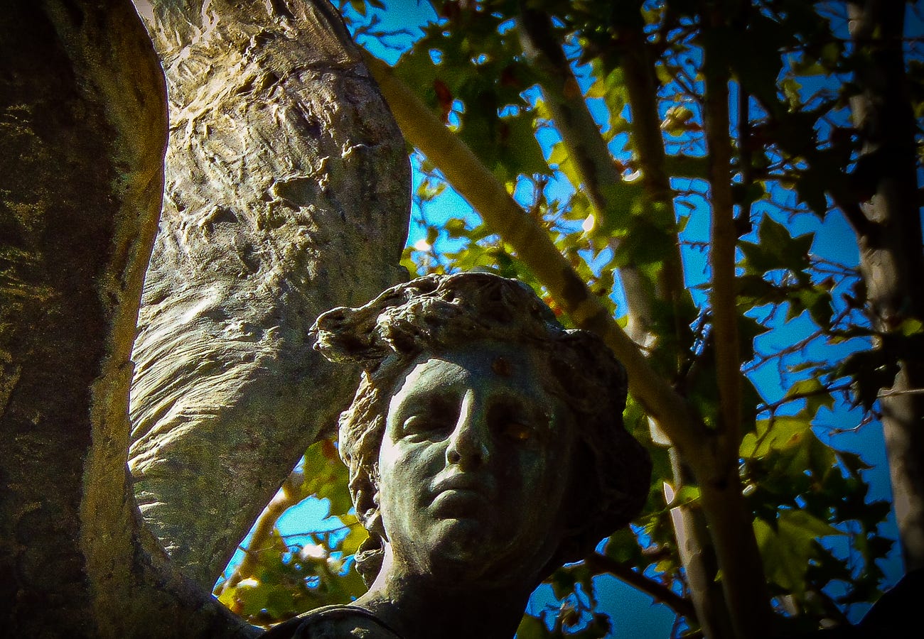 reincarnated - by Daniel Whyte IV