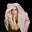 Savannah Scott's avatar