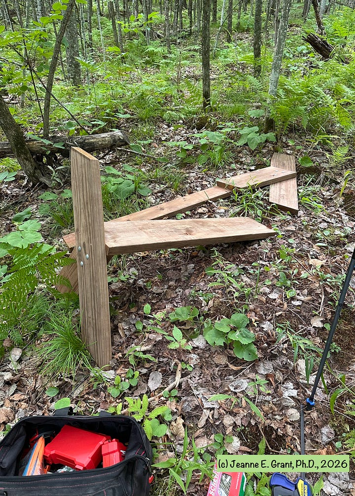 The pieces of wood being assembled in the greenest woods.