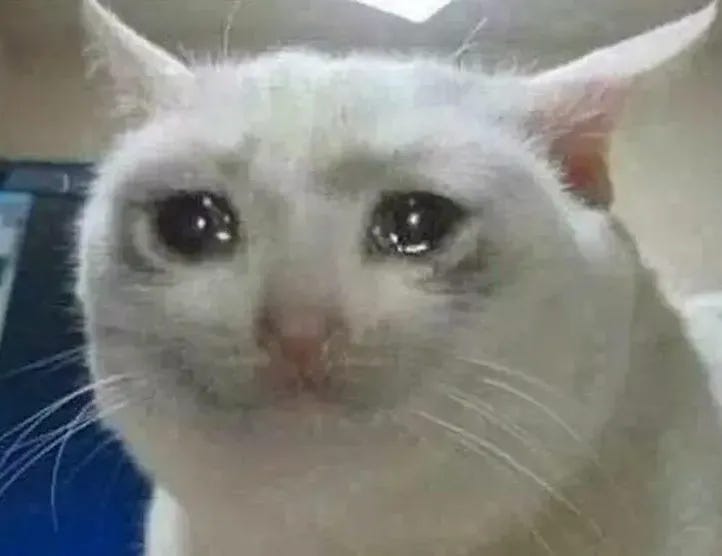 Crying Cat Meme Template — Kapwing