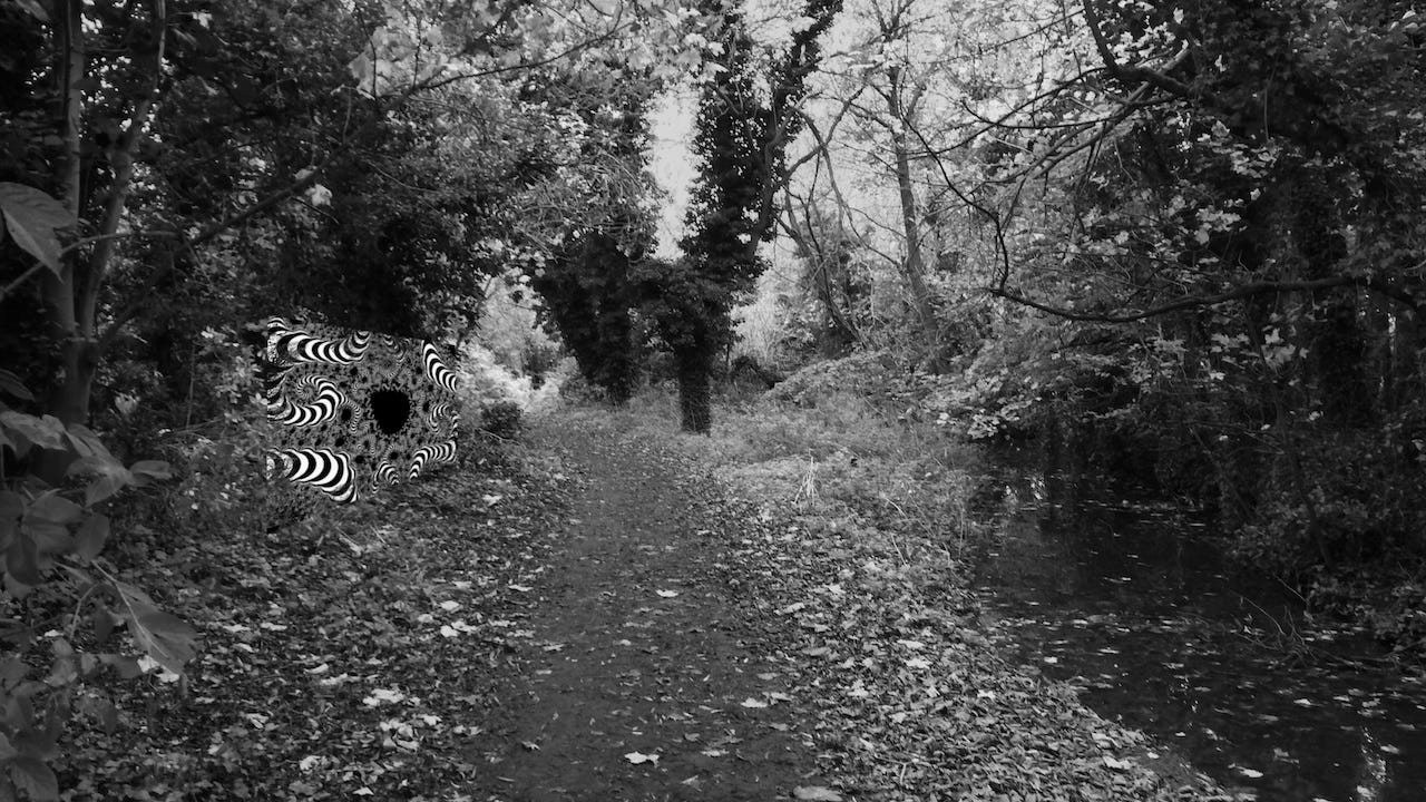 A black-and-white photograph of a narrow woodland path covered in fallen leaves, curving gently between trees and a small stream. On the left side, partially hidden by foliage, a surreal rectangular portal appears—its surface swirling with black-and-white fractal patterns that seem to recede into a dark central void, contrasting sharply with the natural surroundings.
