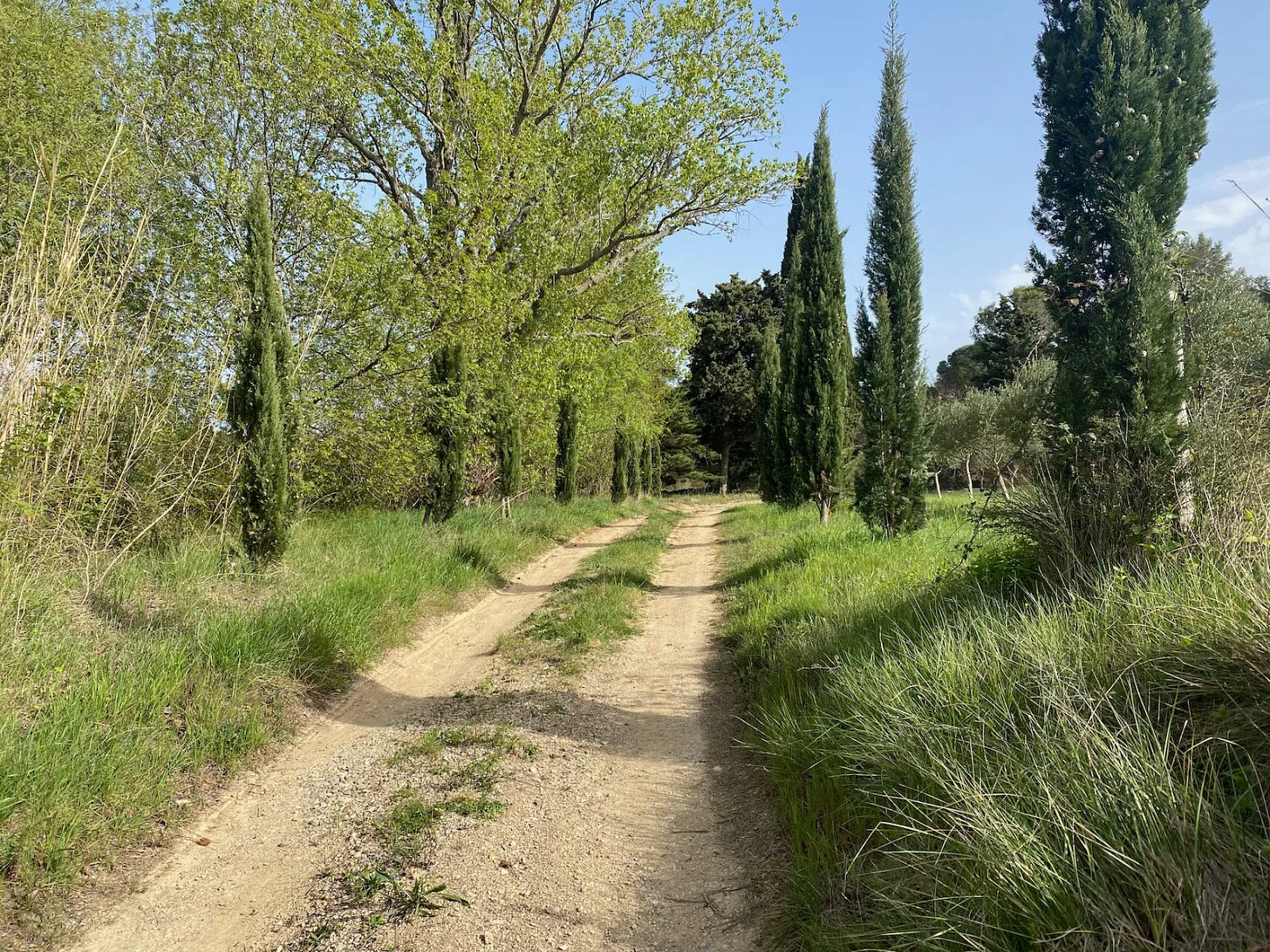 Aigne