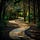 Northeast Trails, Trees, & Plants