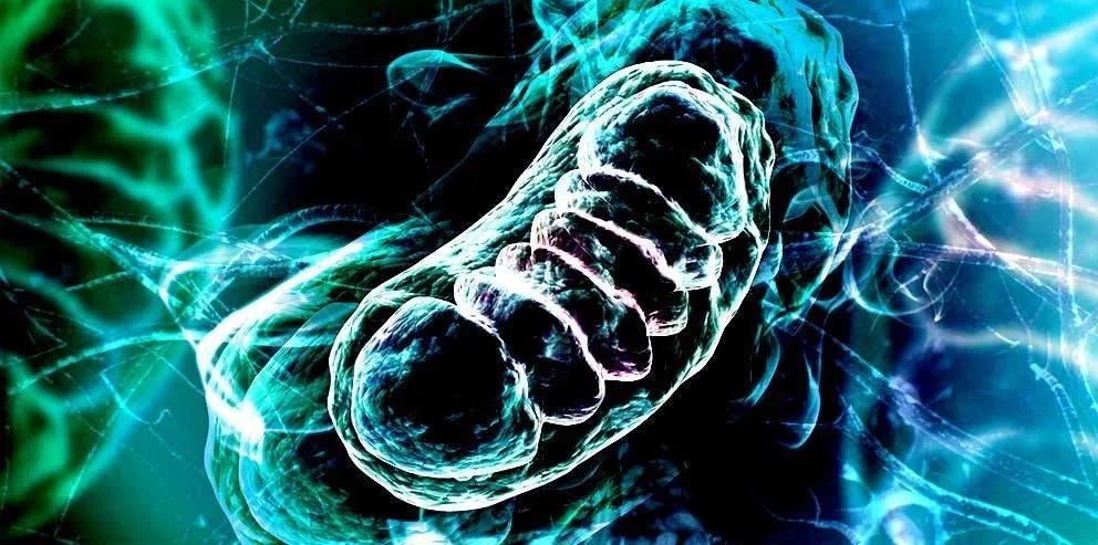 Regenerative Medicine and The Cell Danger Response