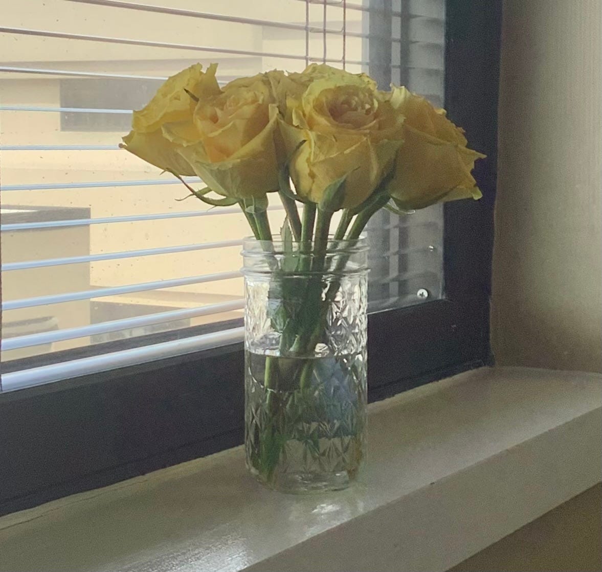 Yellow roses