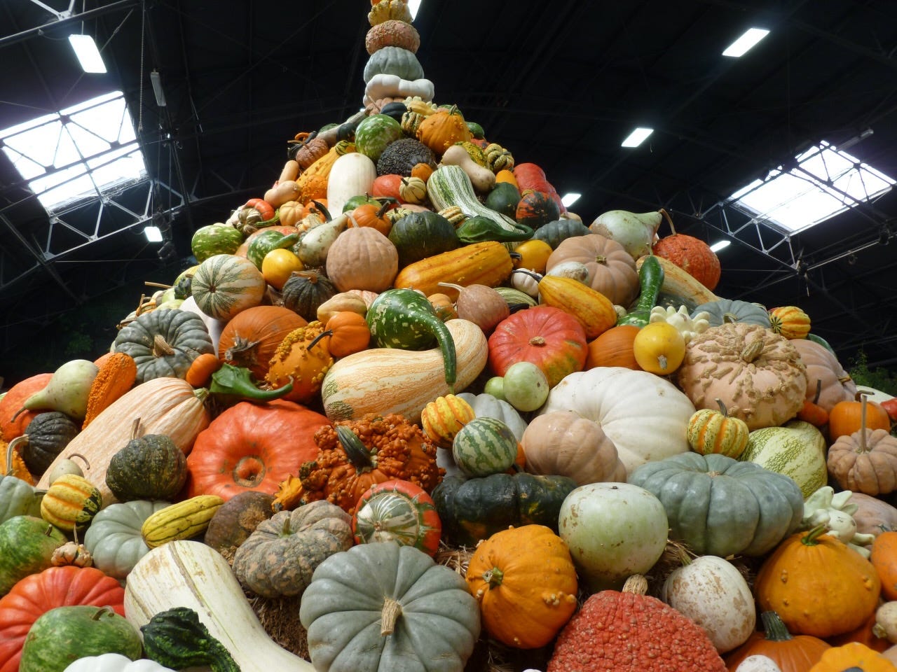 winter squash display