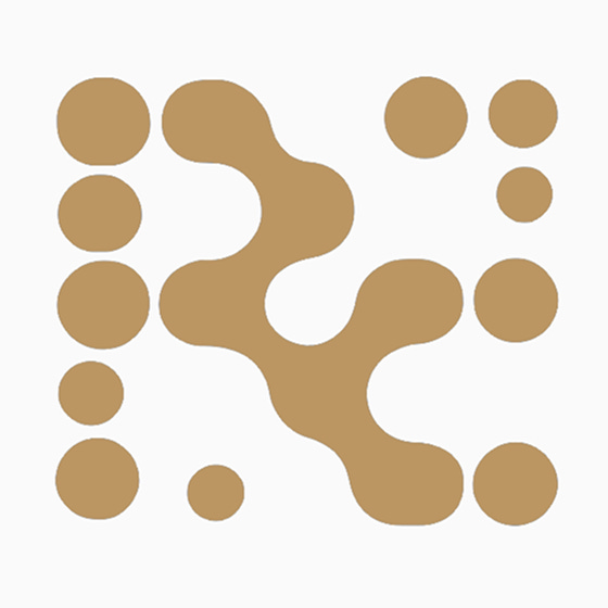 Raising Champions by Mettle