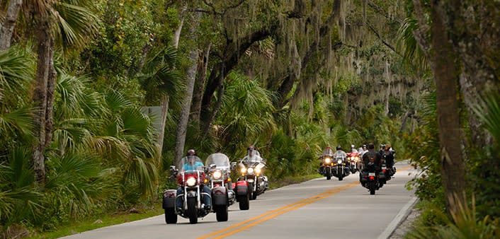 The Loop | Ormond Scenic Loop & Trail Daytona Beach The Loop | Ormond Scenic Loop & Trail Daytona Beach