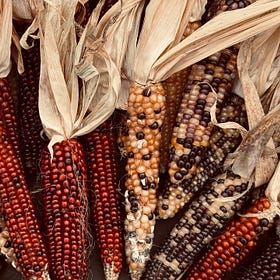 Giving Thanks For You Contrarians—and the Rule of Law