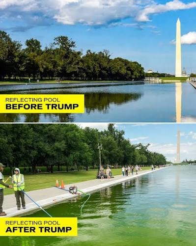 Reflecting Pool before and after Trump 💔 Reflecting Pool before and after Trump 💔