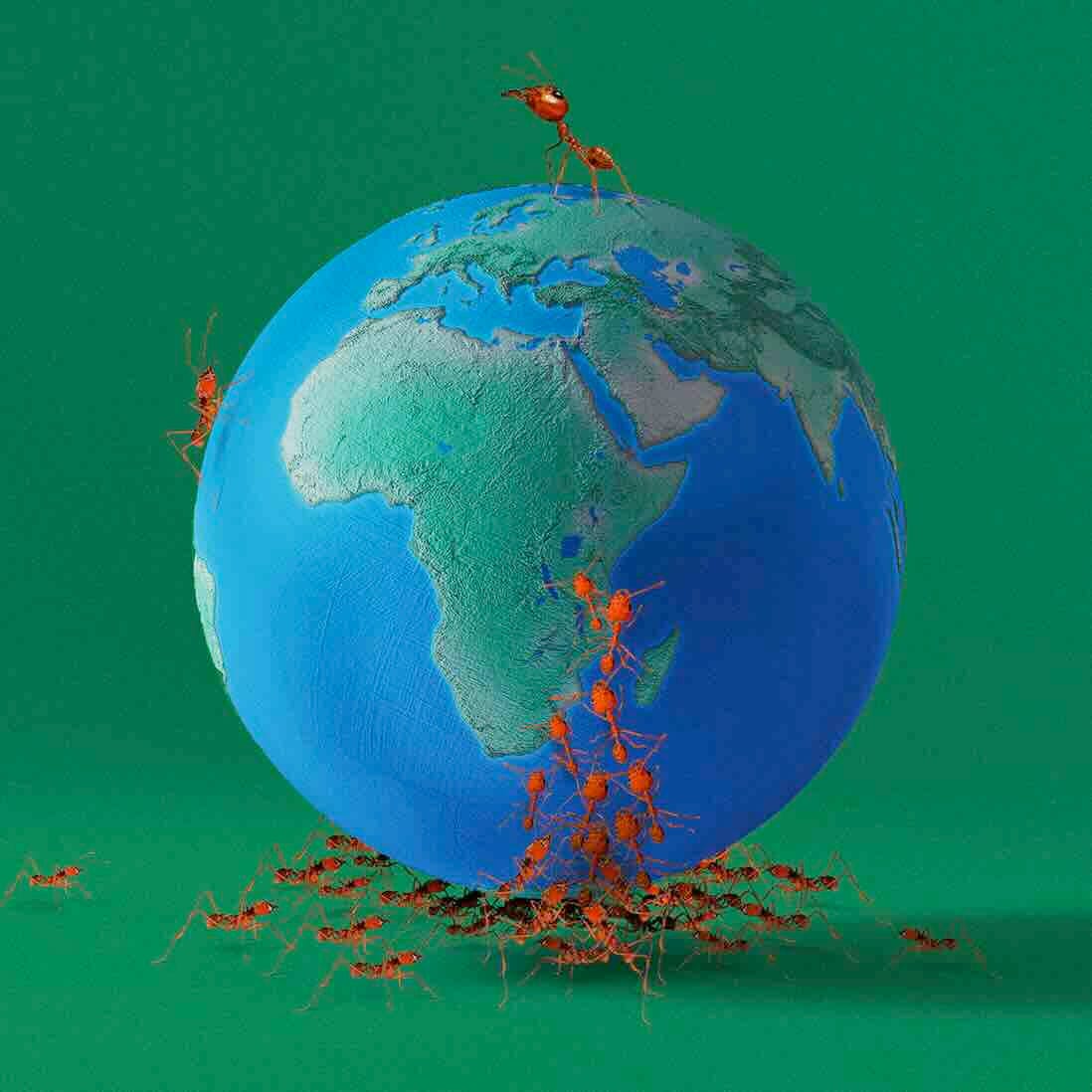 Thumbnail of ants holding up a globe Thumbnail of ants holding up a globe