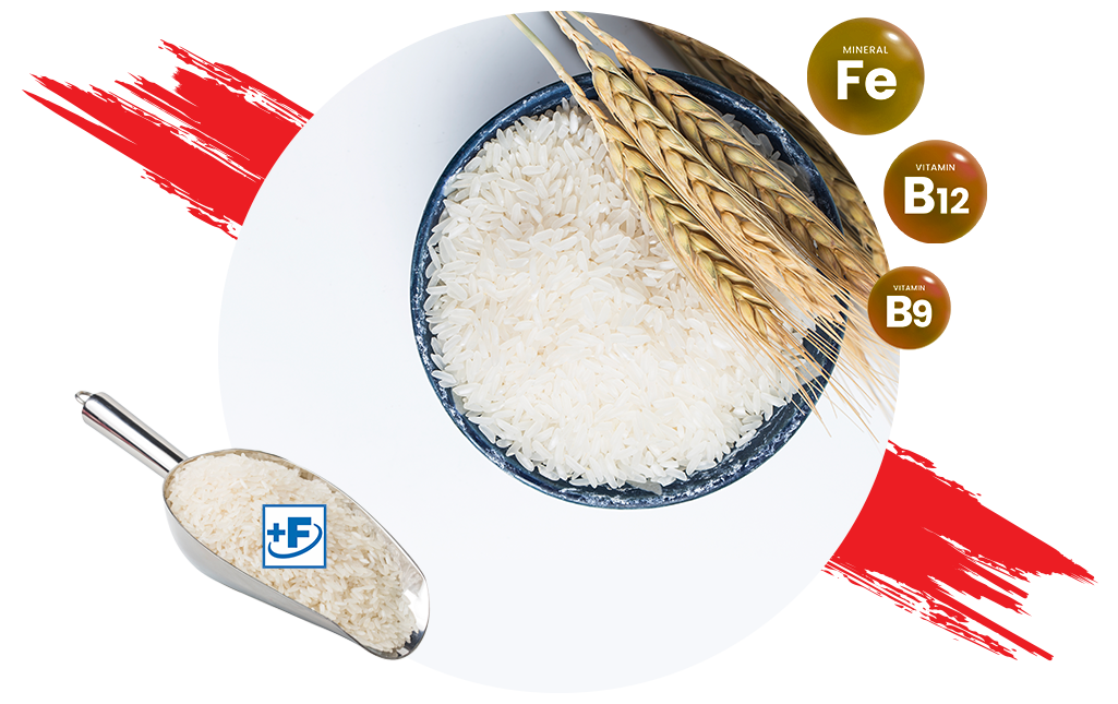 Micronutrient Staple Premix | Staple Premix Products | Hexagon Nutrition Micronutrient Staple Premix | Staple Premix Products | Hexagon Nutrition