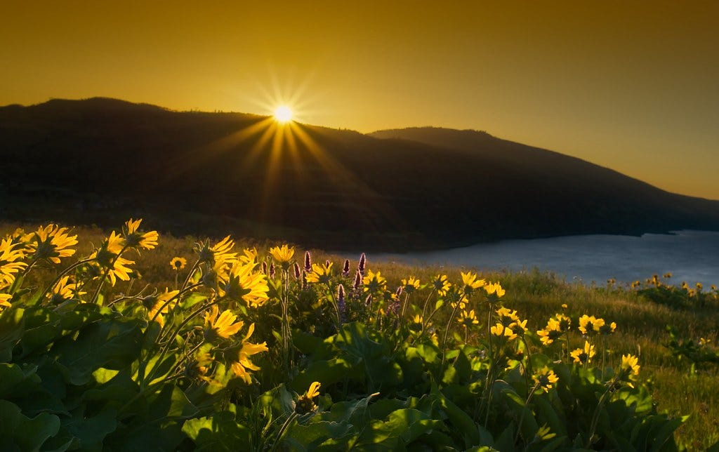 Sunrise at Rowena Crest E Sunrise at Rowena Crest E