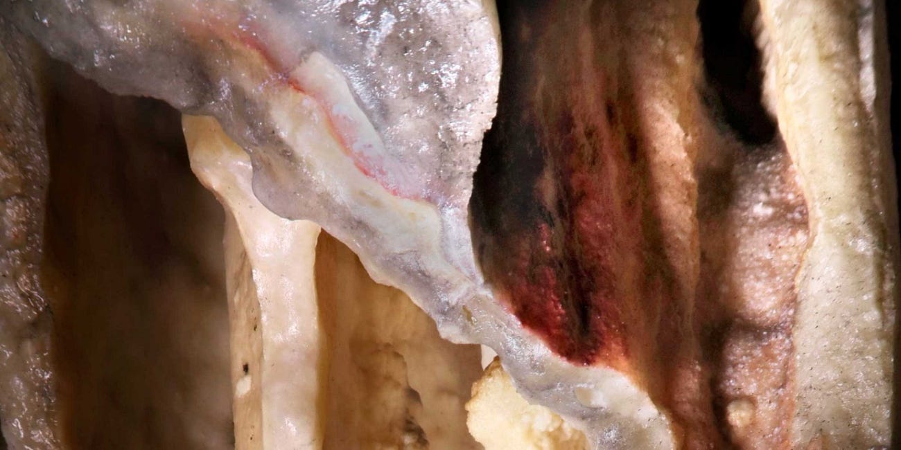 What did Neanderthal visual culture mean?