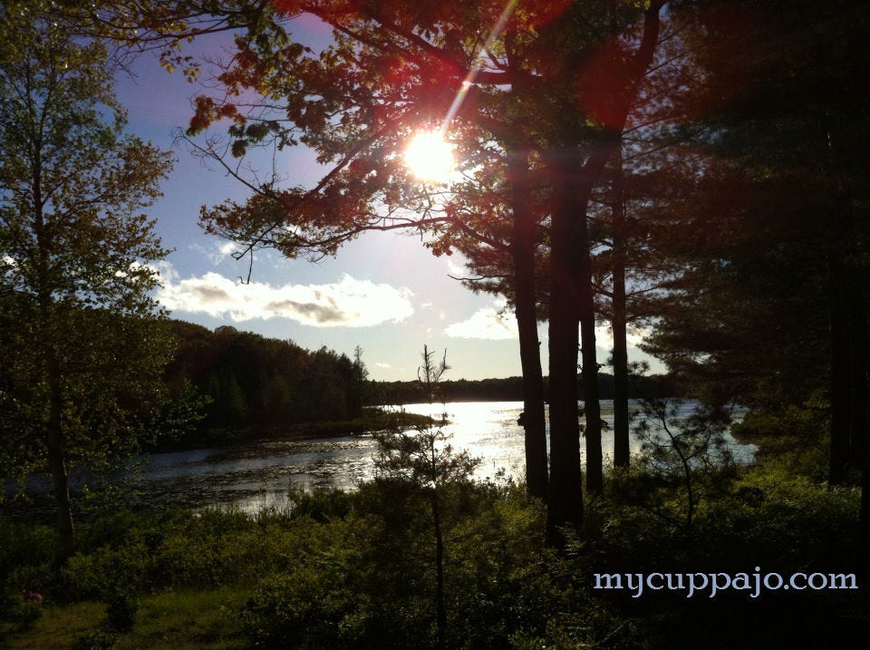 Can't get outside? Just looking at pictures of nature can be restorative. Can't get outside? Just looking at pictures of nature can be restorative.