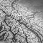 The surprising similarity between rivers and trees