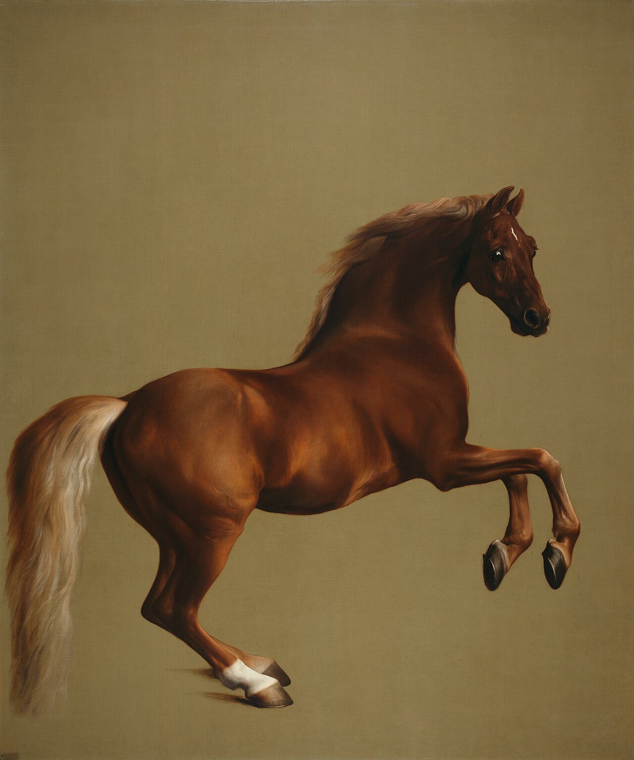 A life size chestnut racehorse rears against a plain golden background with no rider or setting A life size chestnut racehorse rears against a plain golden background with no rider or setting