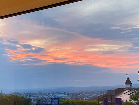 Pink sunset, shadow of a tree on a lilac house, pink flowers surrounded by a child's hands, a misty woodland, a pair of red tulips, a dark cloudy sky