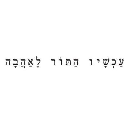May be an image of ‎the Western Wall and ‎text that says '‎לאהבה התור עכשיו‎'‎‎
