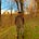 The Cunning Farmer's avatar