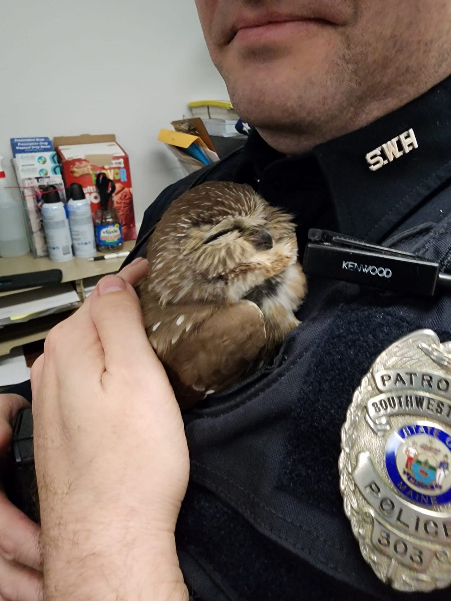 May be an image of 1 person and owl