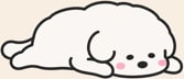 たくわん先生🐶