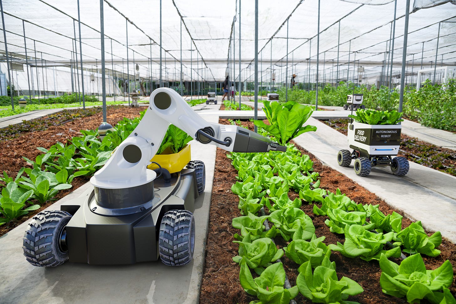 The Missing Ingredient in Agtech: Boots on the Ground