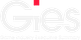 GIES | Video Games Industry Executive Summary