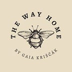 The Way Home
