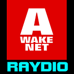AwakeNet