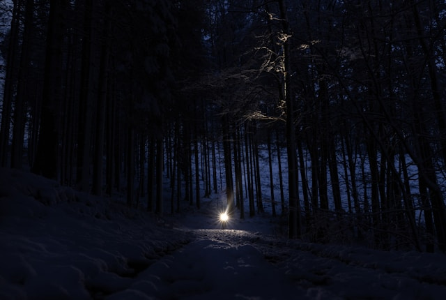 A faint light illuminates a snowy path in a dark, wooded area during nighttime. A faint light illuminates a snowy path in a dark, wooded area during nighttime.