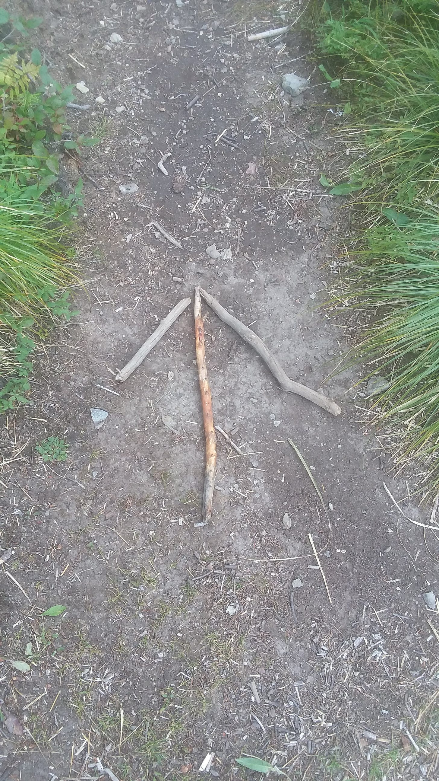 A kid-made arrow of twigs to prevent getting lost on an overgrown trail in Montana, August 2019.