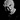 Susy Young's avatar