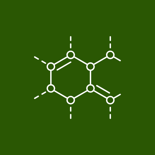 Food, Fermentation & Circularity