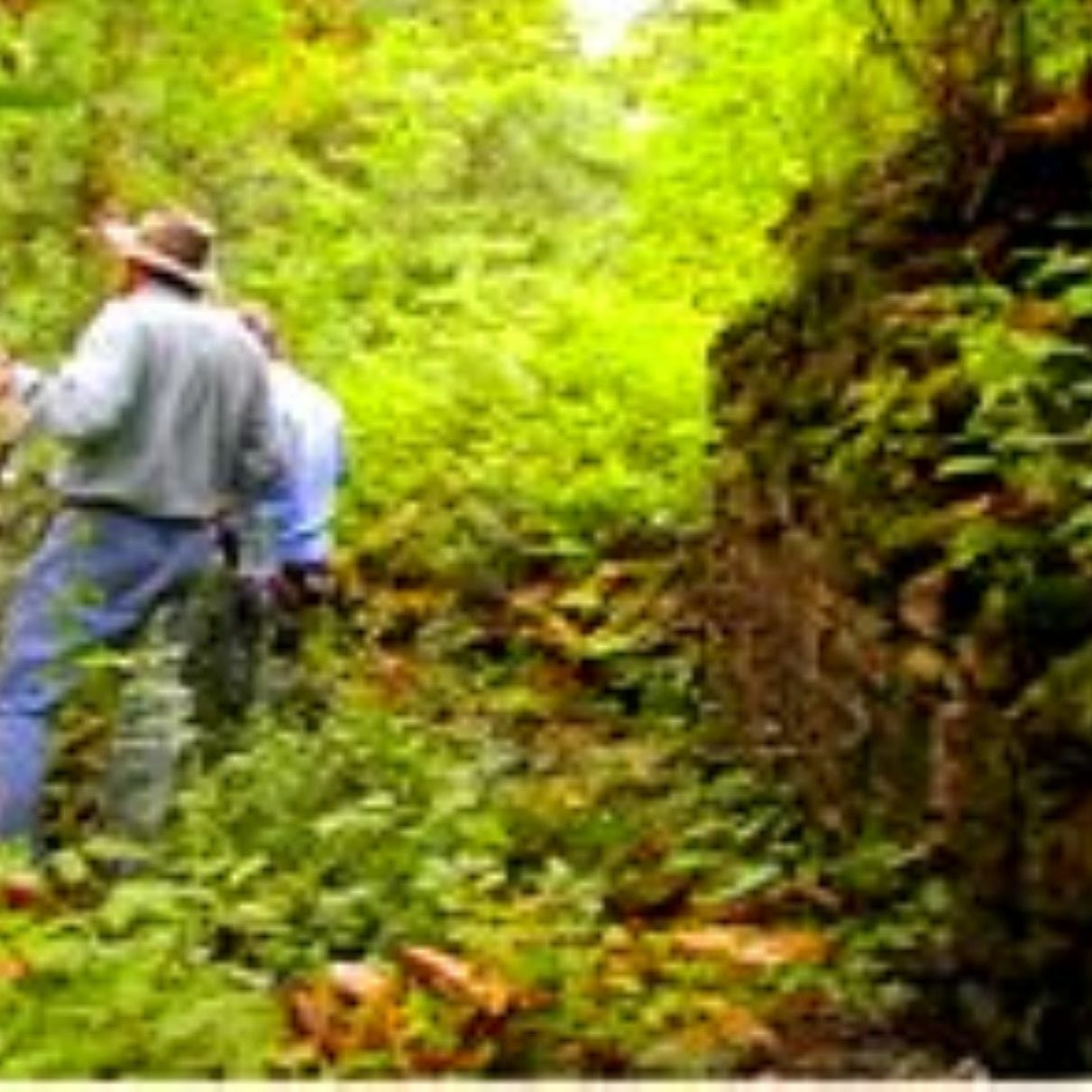 Exploring History's Treasures