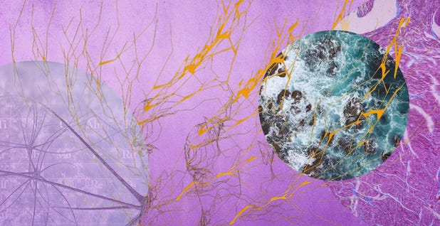 Abstract emotional resonance illustration depicting the physiological impact of meaningful experiences on health and wellbeing