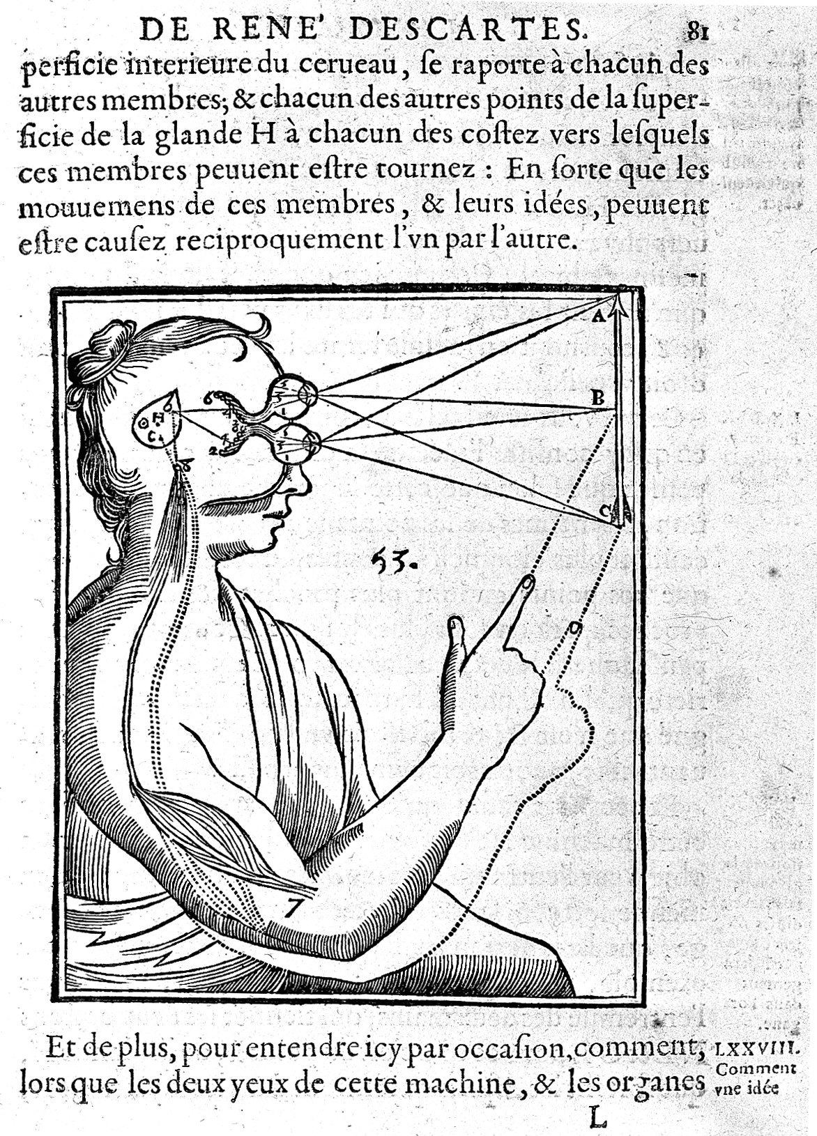 File:Descartes; Coordination of muscle and visual mechanisms. Wellcome  L0002392.jpg - Wikimedia Commons