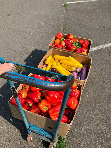 Fruit, vegetables, food bank and gleaning organizations