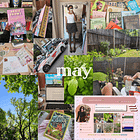 becoming less afraid of bees, new cosy game obsession, blogging is back, becoming a football fan maybe