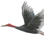 E. M. Crane's avatar