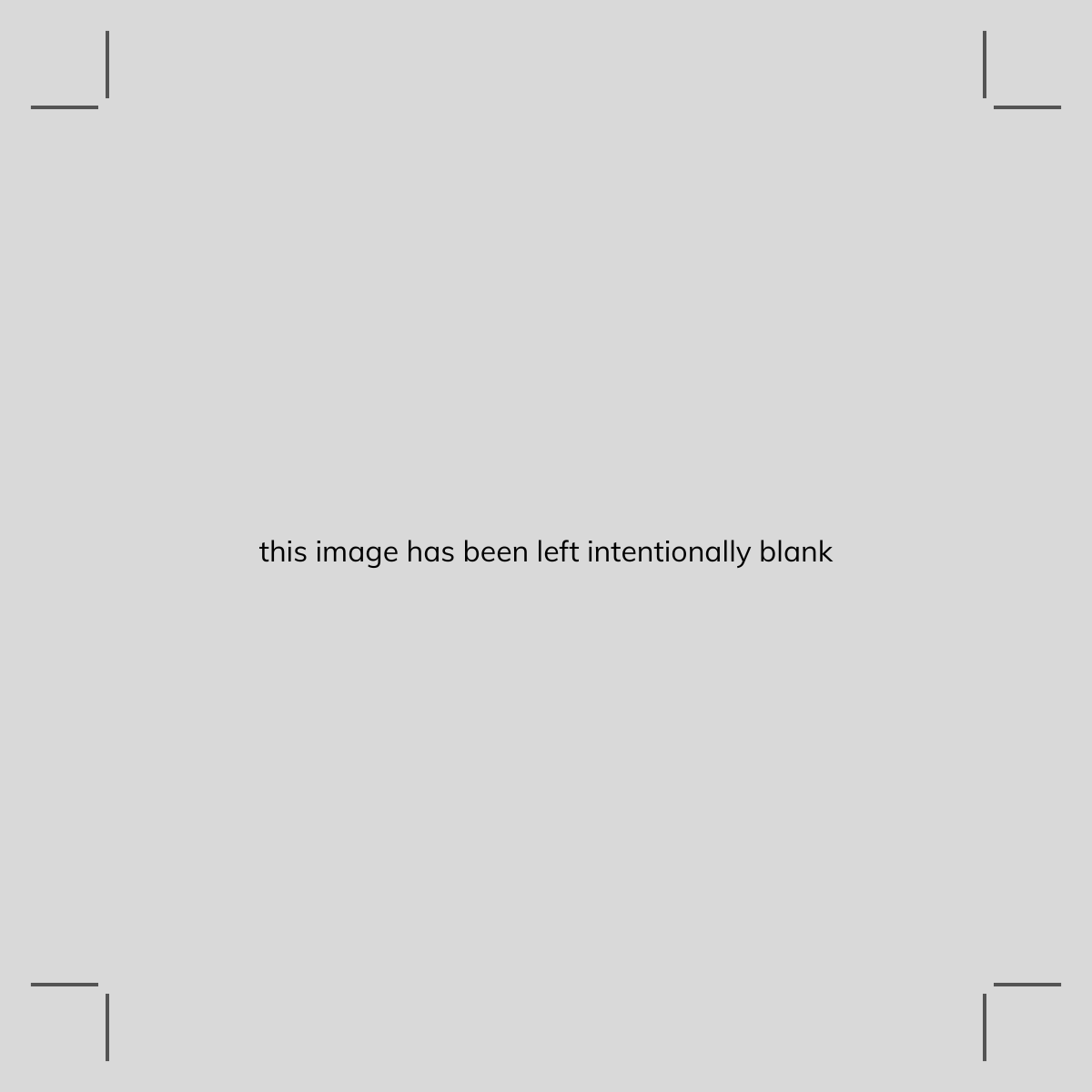 A grey box with crop marks in the corners. In the centre, text reads: "this image has been left intentionally blank"