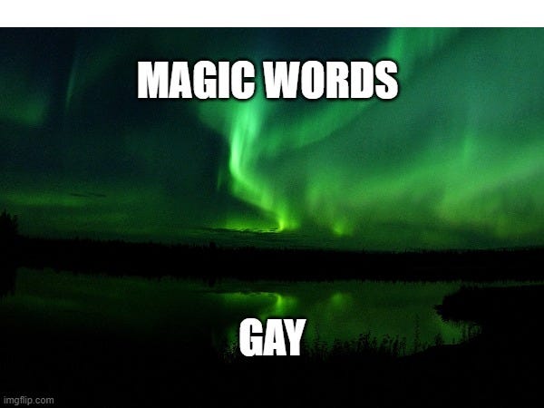 MAGIC WORDS; GAY | made w/ Imgflip meme maker
