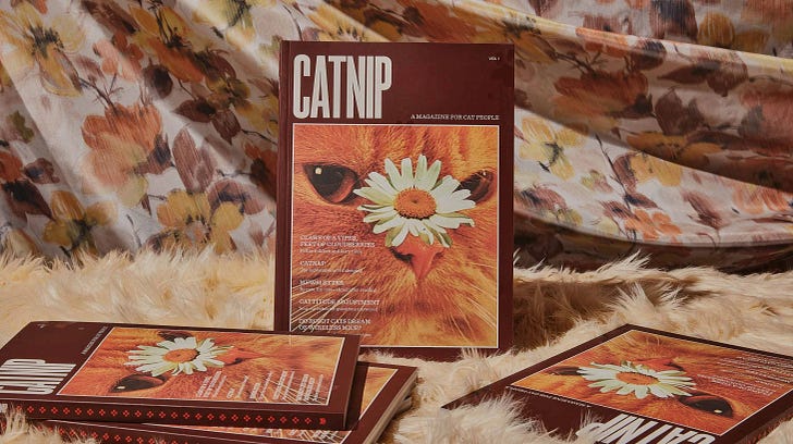 Catnip, the latest magazine from Broccoli.