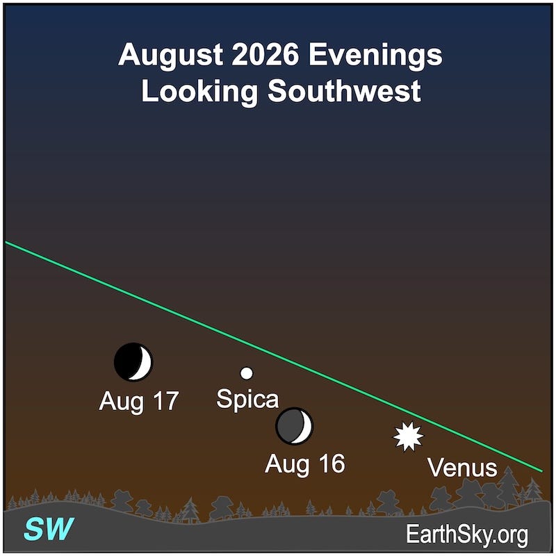 A crescent shape, the moon, is between a starred dot, Venus, and a dot, the star Spica. They are all above a wavy line, the horizon. A crescent shape, the moon, is between a starred dot, Venus, and a dot, the star Spica. They are all above a wavy line, the horizon.